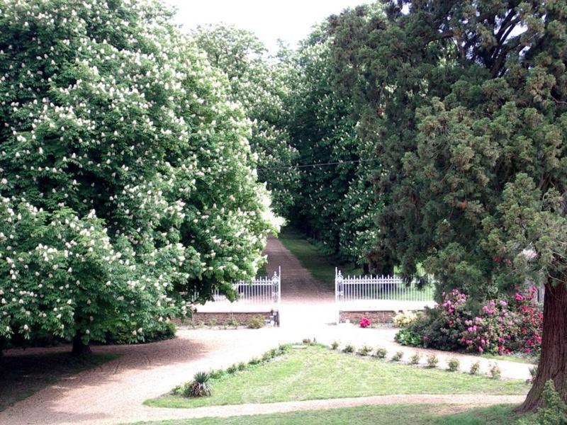 Chateau De Montbraye Parigné-lʼÉvêque Екстериор снимка